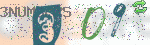 captcha_img