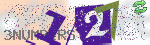 captcha_img