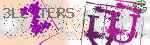 captcha_img