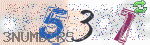 captcha_img