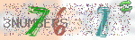 captcha_img