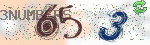 captcha_img