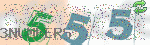 captcha_img