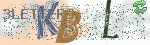captcha_img