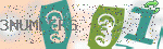captcha_img