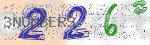 captcha_img