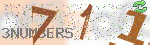 captcha_img