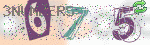 captcha_img