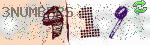 captcha_img