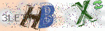 captcha_img