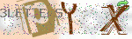 captcha_img
