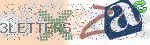 captcha_img