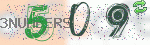 captcha_img