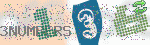 captcha_img