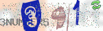 captcha_img
