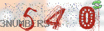 captcha_img